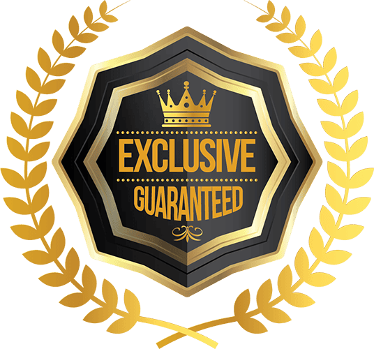 Award and warranty badge illustrations vector design